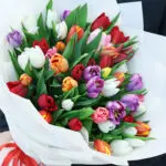dazzling-tulip-mix_04