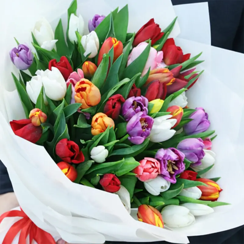 dazzling tulip mix 04