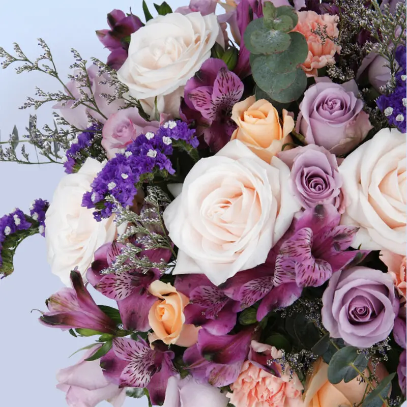 floral harmony box 2026 01 04