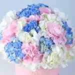 Bloom Aura Arrangement 3 full-hydrangea-bloom-box-pink_03