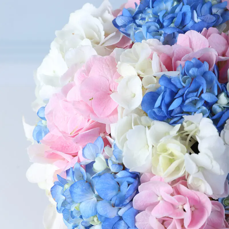 full-hydrangea-bloom-box-pink_05 full hydrangea bloom box pink 05