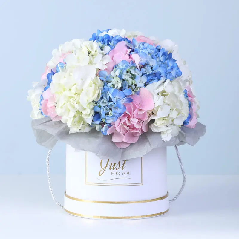 hydrangea-trio-floral-box_02 hydrangea trio floral box 02
