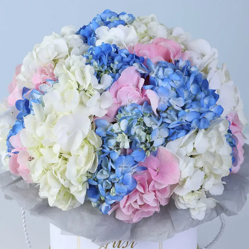 hydrangea-trio-floral-box_03 hydrangea trio floral box 03