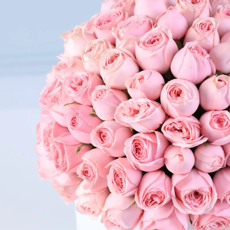 light pink roses just for you flower box 04 scaled