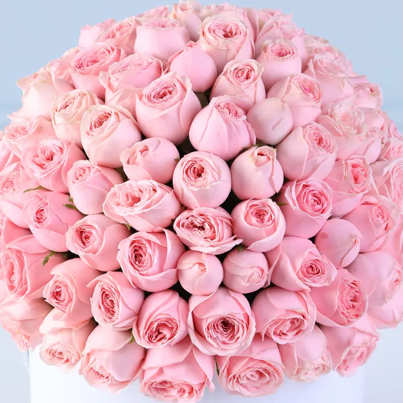 light pink roses just for you flower box 05
