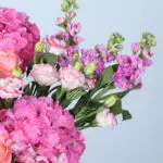Rosy Glow Signature Box 4 luxury-blush-floral-box-white-arrangement_02