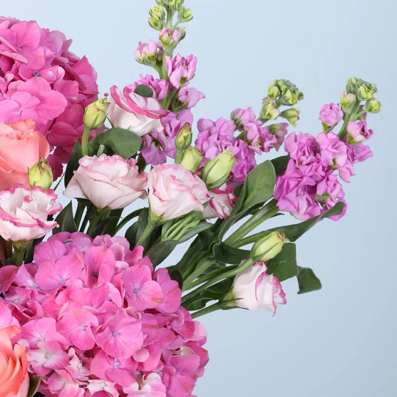 luxury-blush-floral-box-white-arrangement_02 luxury blush floral box white arrangement 02