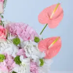 Light-Toned Floral Palette 4 pastel-mixed-floral-arrangement-white-box_04