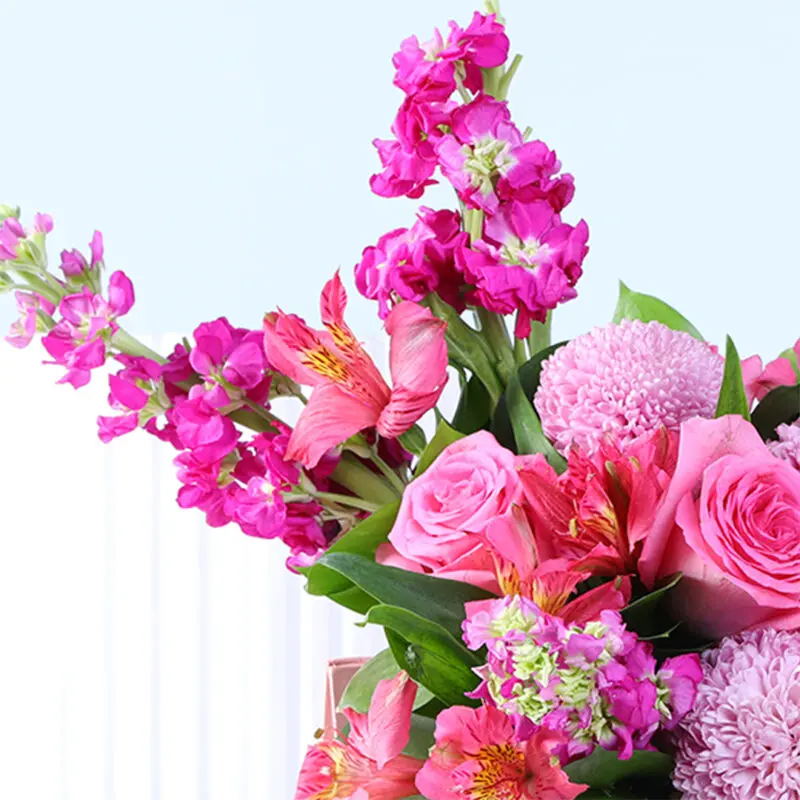 pink-blooms-mini-flower-box_04 pink blooms mini flower box 04