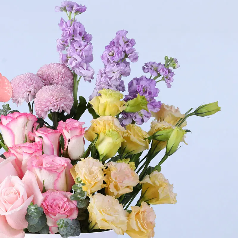 Pink Roses & Purple Matthiola Flower box | Premium Mixed Flowers
