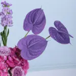 purple-elegance-flower-box-white_03