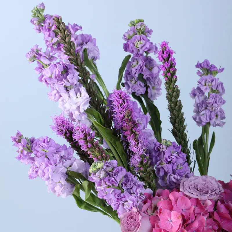 purple elegance flower box white 04