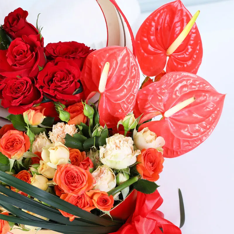 red-roses-anthurium-flower-box_03 red roses anthurium flower box 03