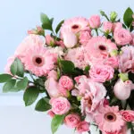 Pink Petal Celebration Box 4 romantic-pink-bloom-white-box_2026_03