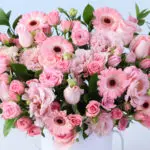 Pink Petal Celebration Box 5 romantic-pink-bloom-white-box_2026_04