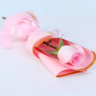 Light pink Titanic rose bouquet with delicate petals, beautifully wrapped for a charming floral gesture