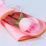 single-light-pink-titanic-rose-bouquet_04