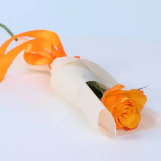 Fresh single orange rose bouquet wrapped in premium paper with neat ribbon detailing for elegant gifting