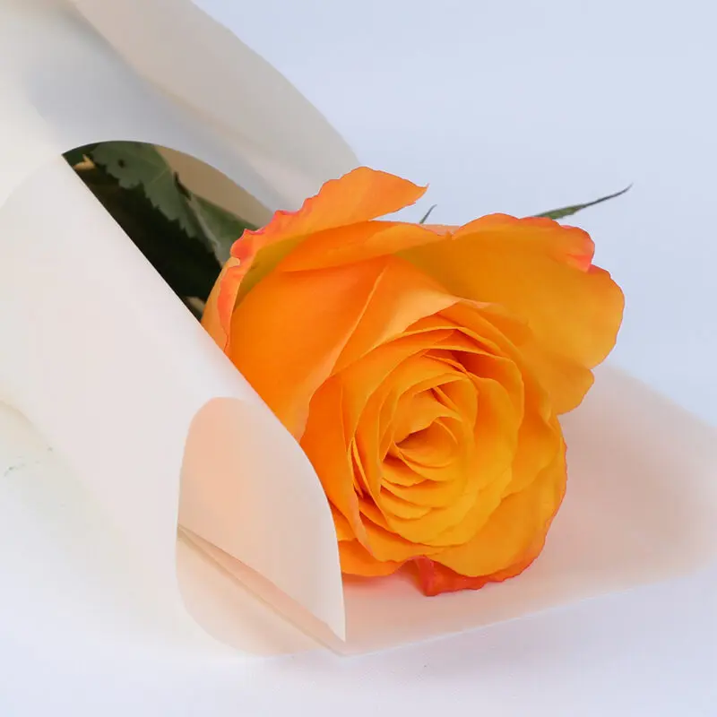 single orange rose bouquet 03