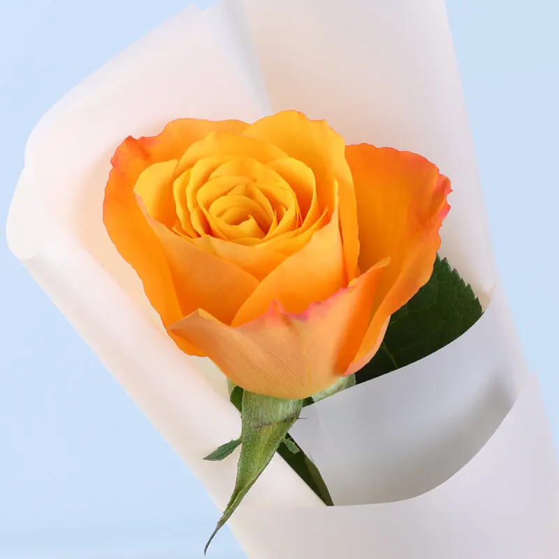 single orange rose bouquet 04