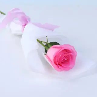 Single pink Revival rose bouquet with lush petals, neatly wrapped in decorative paper and ribbon.