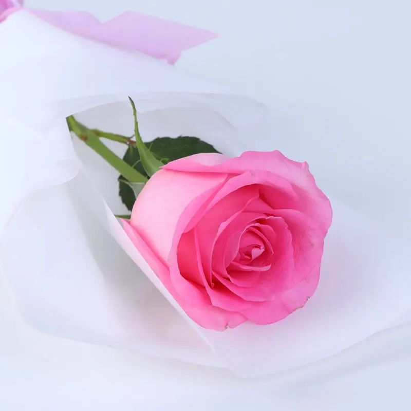 single pink revival rose bouquet 2026 03