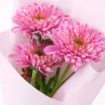 Single Purple Deco Chrysanthemum Bouquet 4 single-purple-deco-chrysanthemum-bouquet_04