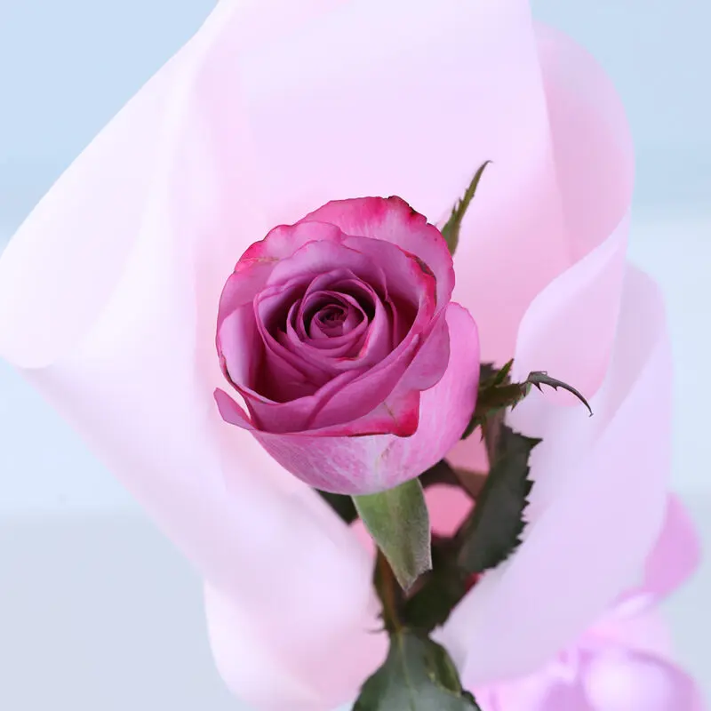 single purple rose bouquet 2026 03