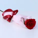 single-red-rose-bouquet