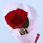 single-red-rose-bouquet_03