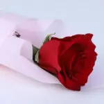 single-red-rose-bouquet_04
