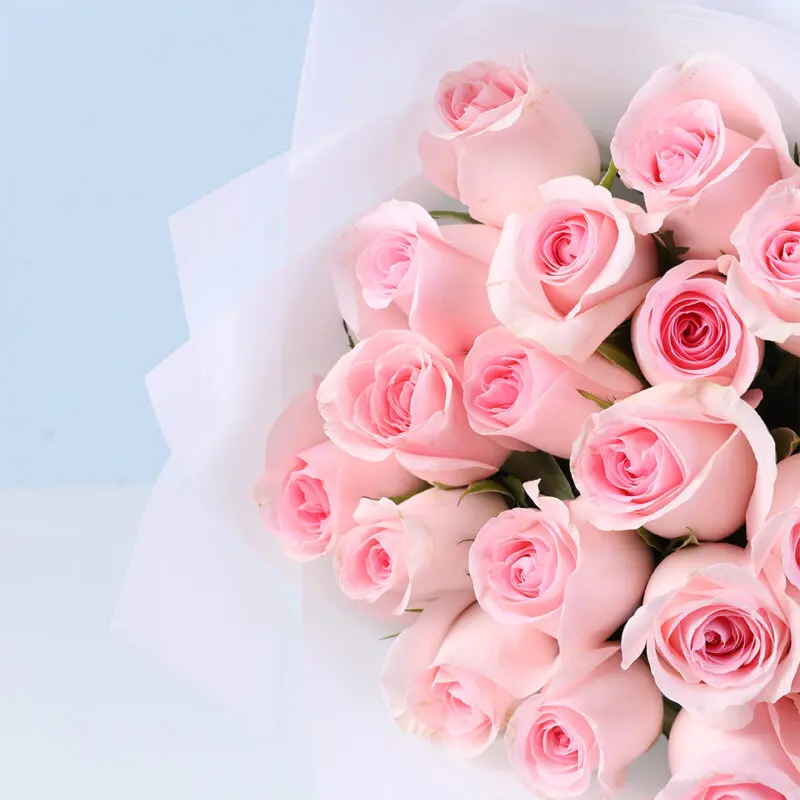 velvet-blush-rose-bouquet_03 velvet blush rose bouquet 03
