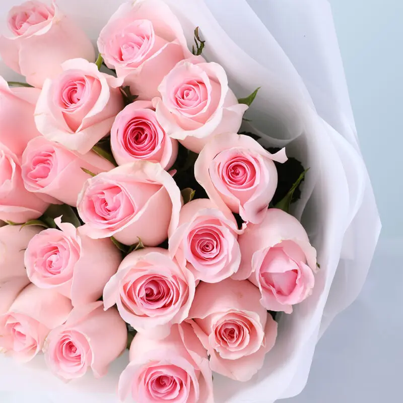 velvet-blush-rose-bouquet_04 velvet blush rose bouquet 04