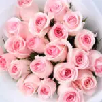 Blush Whisper Rose Bouquet 5 velvet-blush-rose-bouquet_06