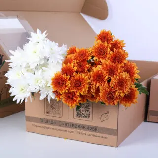 White and orange Euro spray chrysanthemum bunch in a card board box