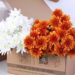 Chrysanthemum White Orange Spray Bunch 2 white-orange-euro-spray-chrysanthemum-bunch_02