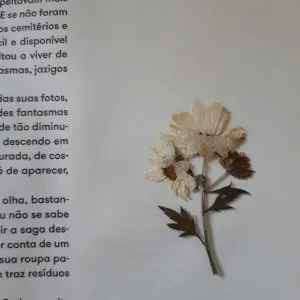 A single, dried flower is pressed onto the right side of a page within a book
