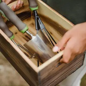 a wooden box filled with gardening tools. The box contains a trowel, a hand fork, and a weeder, all with gray handles and green accents.