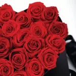 0002_red_3_1_1.jpg