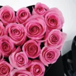 0012_pink_3_1.jpg