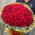 0034_100_red_roses.jpg