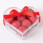 0064_vday21_23.3.jpg