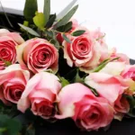 12_pink_roses_in_balck_wrapping_3_.jpg