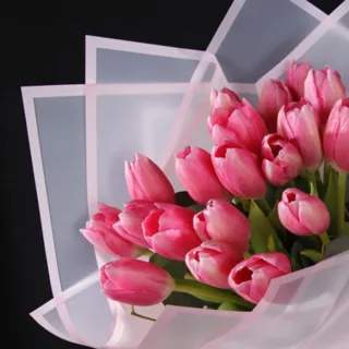 20 pink tulips 1 jpg