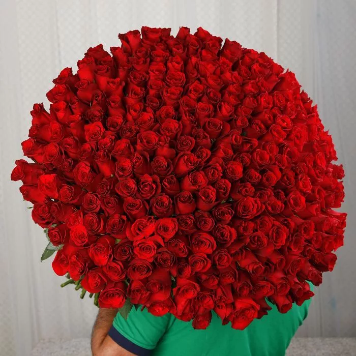 250 Red Rose Bouquet | Black Tulip Flowers Dubai