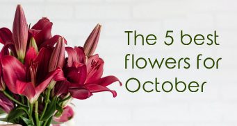 5 best flowers for october 1