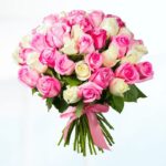 50-pink-and-white-roses-bouquet.png