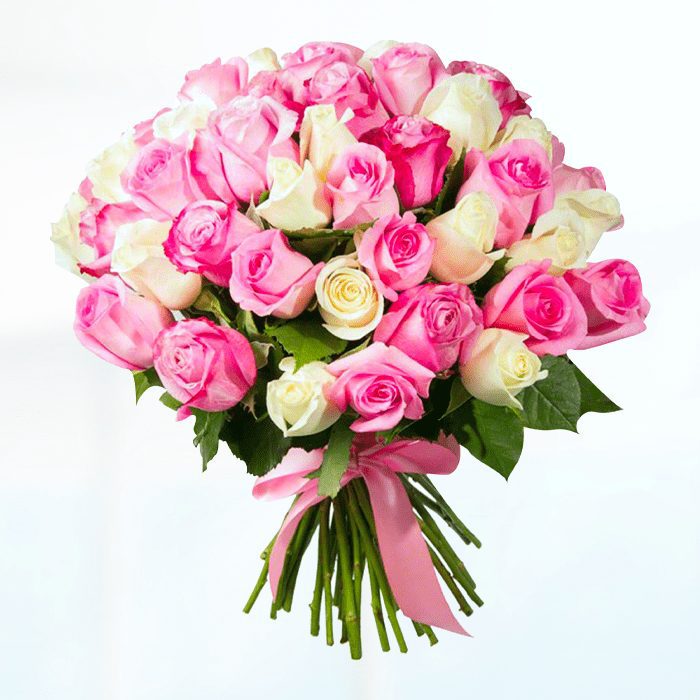 50 pink and white roses bouquet