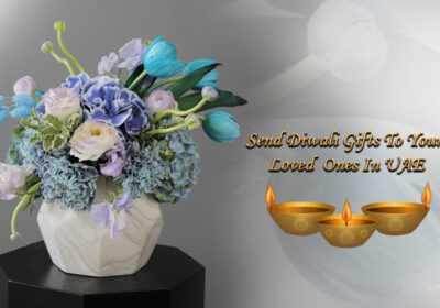 Send Diwali Gifts to Your Loved Ones in UAE 37 BTF 841 .451