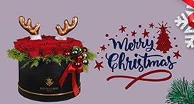 Popular Flower for Christmas Decorations 40 Blog 12 1 1
